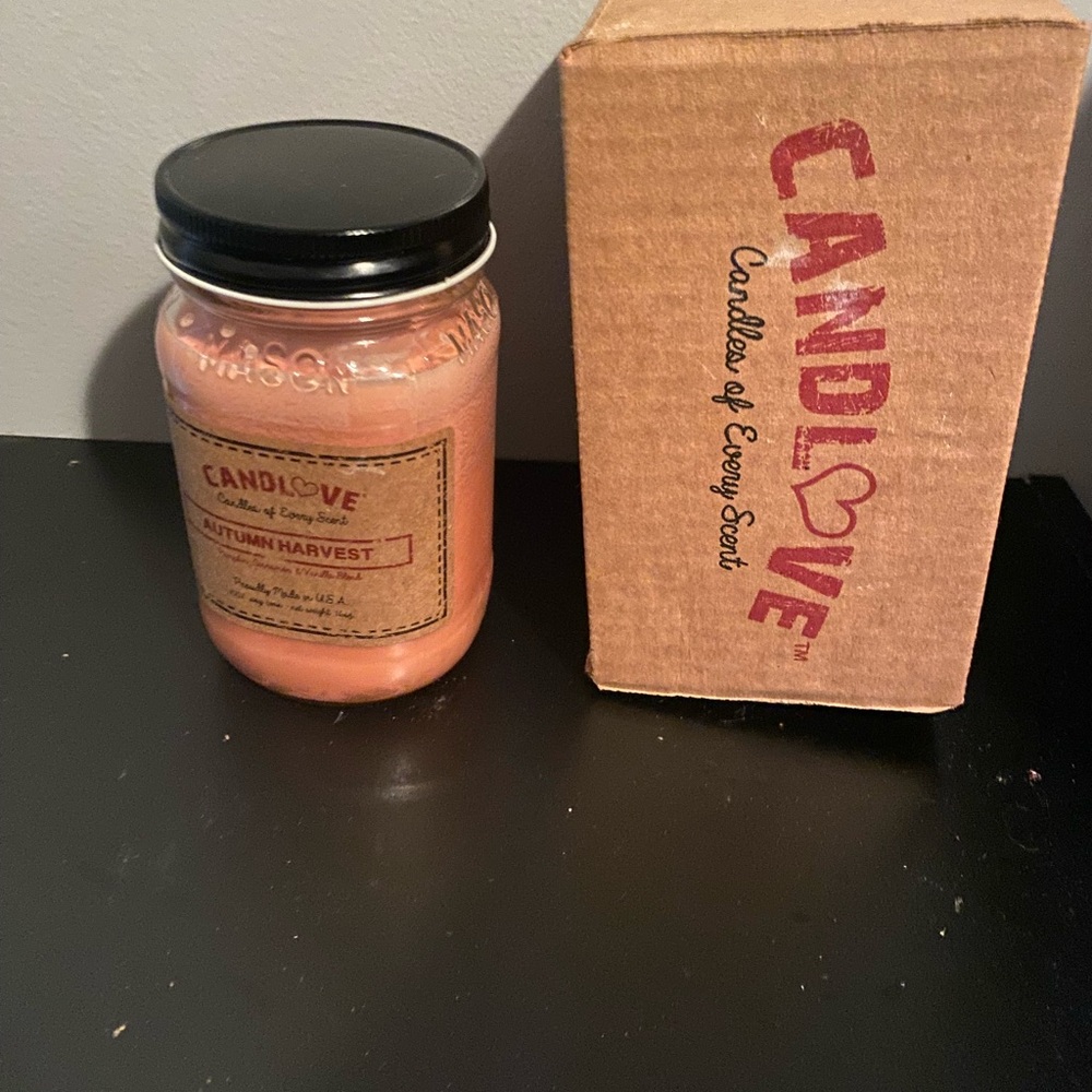 Autumn Harvest Scented Candle - Pink